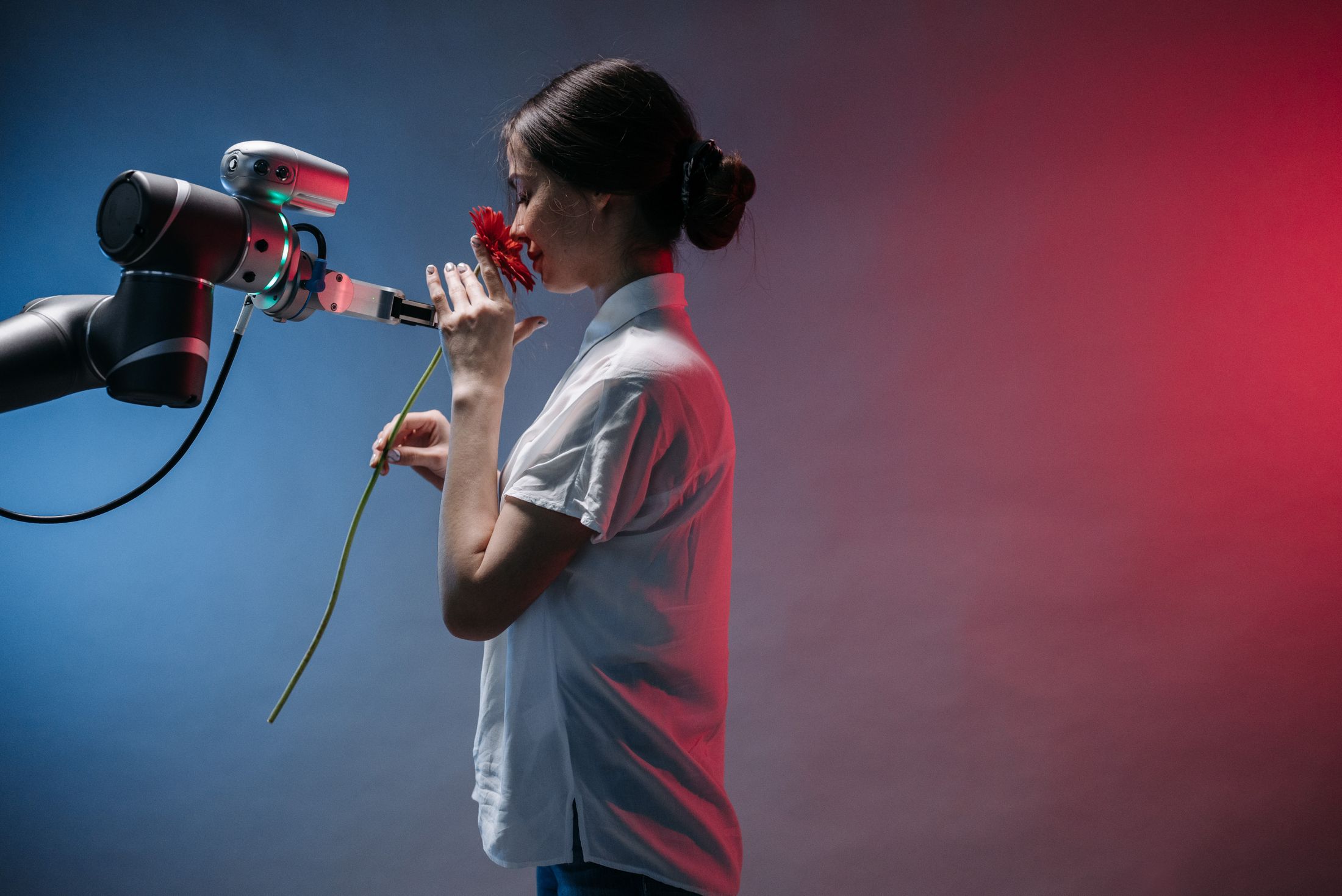 Robots humanoïdes domestiques : ce qu'ils savent vraiment faire aujourd'hui